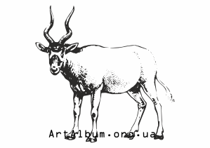Clipart addax antelope