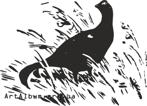 Clipart black grouse or blackgame (Tetrao tetrix)