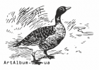 Clipart goose
