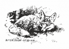 Clipart fox