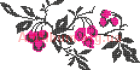 Кліпарт орнамент Кролевецького рушника