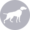 Clipart icon with hunter dog