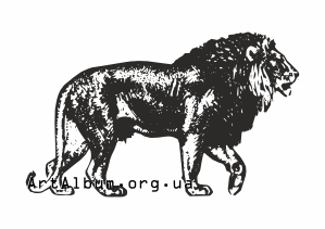 Clipart african lion