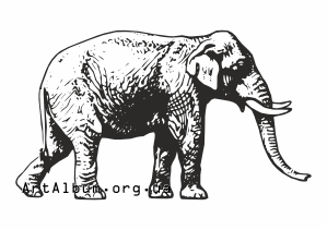 Clipart asian (indian) elephant