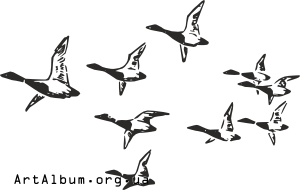 Кліпарт перелітні качки
