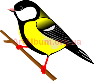 Clipart great tit