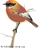 Clipart bird