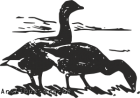 Clipart geese