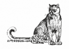 Clipart florida puma with a baby