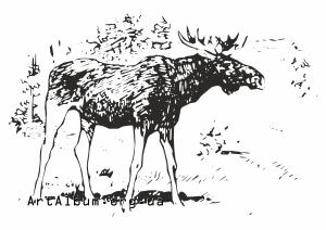 Clipart elk