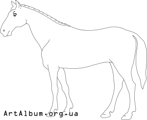 Clipart horse
