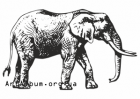 Кліпарт африканський слон