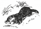 Clipart otter