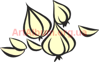 Clipart garlic
