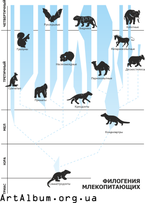 Clipart phylogeny of mammals in russian