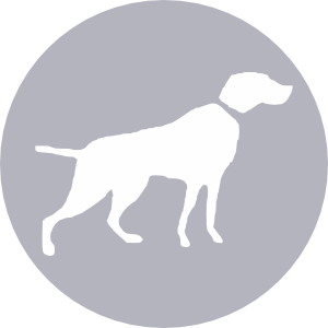 Clipart icon with hunter dog